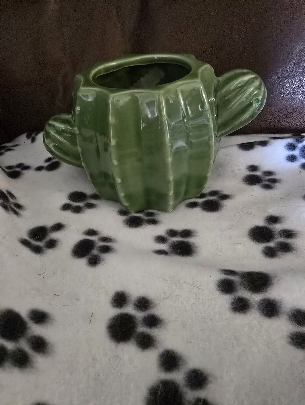 Green Ceramic Cactus Planter - Decorative Home Accent